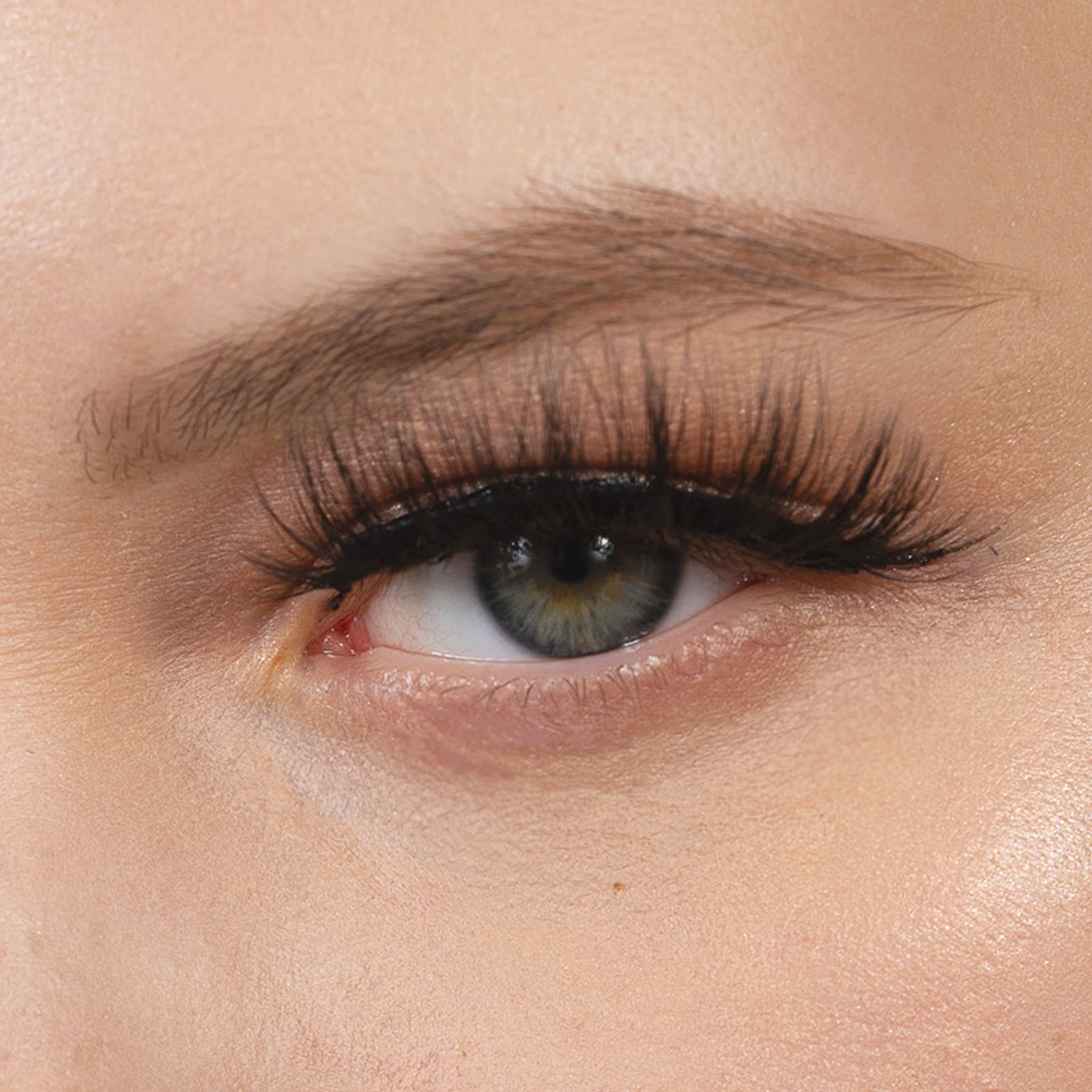 close up of magnetic lashes - Irresistible | Anjoize